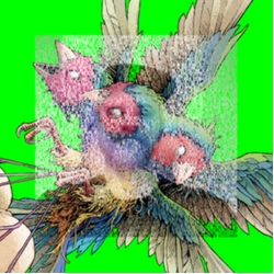 Gouldian Finch Hatch vinyl LP