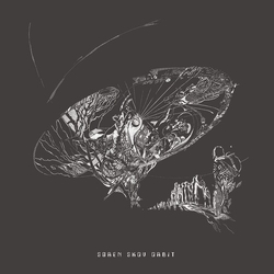 Soren Skov Orbit Adrift VINYL LP