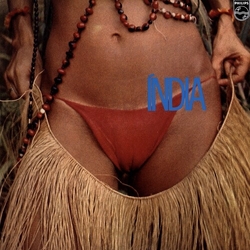 Gal Costa India VINYL LP