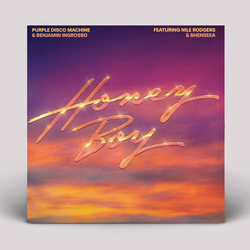 Purple Disco Machine Honey Boy VINYL 12INCH