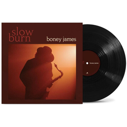 Boney James Slow Burn VINYL LP