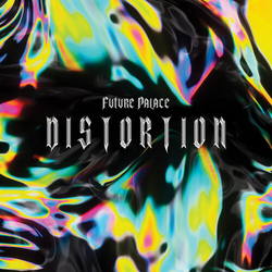 Future Palace Distortion VINYL Fan Box VINYL LP