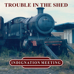 Indignation Meeting Trouble In The Shed VINYL LP