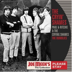 Cryin Shames Please Stay VINYL LP