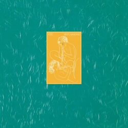 Xtc Skylarking - 2016 Steven Wilson Mix VINYL LP