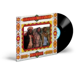 Israel Vibration Praises (Rmst) VINYL LP