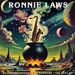 Ronnie Laws Revisiting Friends & Strangers - The Best Of (Red) vinyl LP