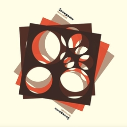 Snowgoose Descendant vinyl LP