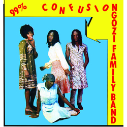 Ngozi Family 99% Confusion vinyl LP