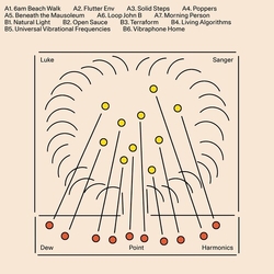 Luke Sanger Dew Point Harmonics VINYL LP