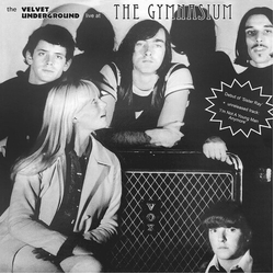 Velvet Underground Live At The Gymnasium Nyc 30 April 1967 vinyl LP