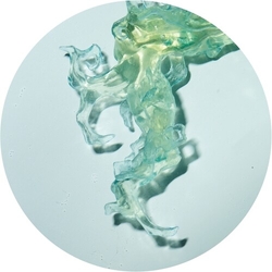 Altone Invincible Nature VINYL 12INCH