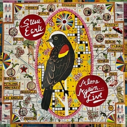 Steve Earle Alone Again (Live) VINYL LP