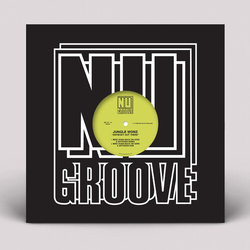 Jungle Wonz (Aka Marshall Jefferson) Anybody Out There 20 Paces From The Moon VINYL 12INCH