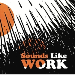 Chester Schultz Sounds Like Work vinyl LP