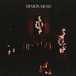 Demon Head Through Holes Shine The Stars VINYL LP