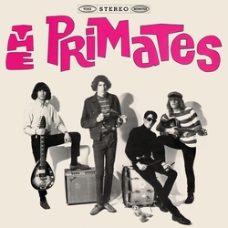Primates We Are The Primates VINYL LP