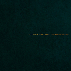 Tyshawn Sorey Trio Susceptible Now vinyl LP