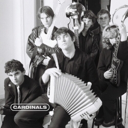 Cardinals Cardinals (Colv) vinyl LP