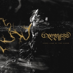 Dreamless Veil Every Limb Of The FloodGOLD VINYL LP
