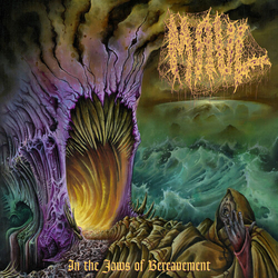 Maul In The Jaws Of Bereavement VINYL LP