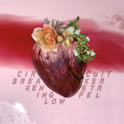 Ken Stringfellow Circuit Breaker VINYL LP