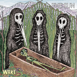 Hail The Sun Wake vinyl LP