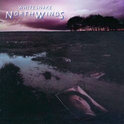 Whitesnake Northwinds (Bme) VINYL LP