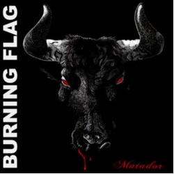 Burning Flag Matador VINYL LP