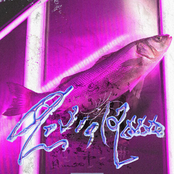 Virginie B Astral 2000  VINYL LP