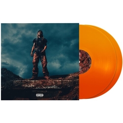 Destroy Lonely Love Lasts Forever (Alt) VINYL LP