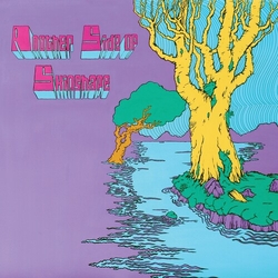 Skinshape Another Side Of Skinshape vinyl LP