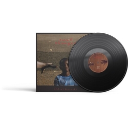 Michael Kiwanuka Small Changes VINYL LP