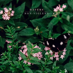 Haters Non-Violent VINYL LP