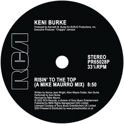 Keni Burke Risin To The Top (Mike Maurro Mix) VINYL 12INCH