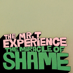 Mr T Experience Miracle Of Shame VINYL LP