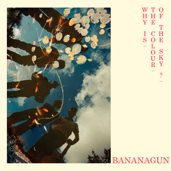 Bananagun Why Is The Colour Of The Sky VINYL LP