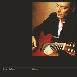 Steve Hackett Tribute  VINYL LP