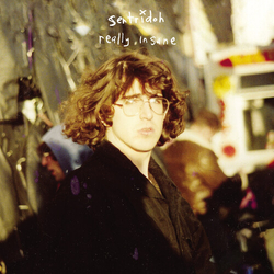 Sentridoh Really Insane A Lou Barlow Compendium (Rmst) VINYL LP