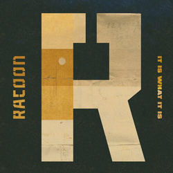 Racoon It Is What It Is  VINYL LP