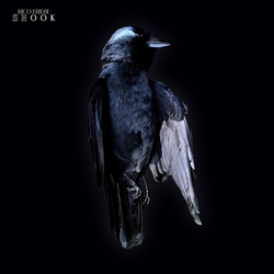 Rico Friebe Shook CD