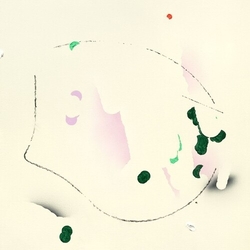 Mamiko Suzuki Mukuge vinyl LP