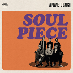 Plane To Catch Soul Piece VINYL LP