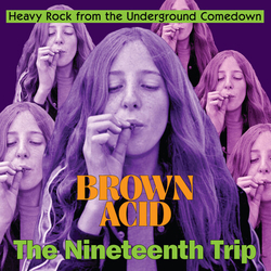 Brown Acid - The Nineteenth Trip Various Brown Acid - The Nineteenth Trip Various VINYL LP