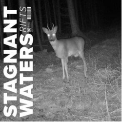 Stagnant Waters Rifts VINYL LP
