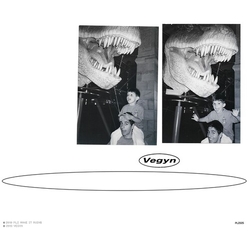 Vegyn Only Diamonds Cut Diamonds (5 Year Anniversary) vinyl LP