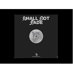 Radio Cargo Like You Move VINYL 12INCH
