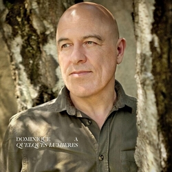 Dominique A Quelques Lumieres (Fra) VINYL LP