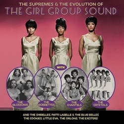 Supremes & The Evolution Of The Girl Group Sound Supremes & The Evolution Of The Girl Group Sound VINYL LP