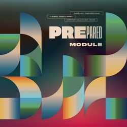 Prepared Module VINYL LP